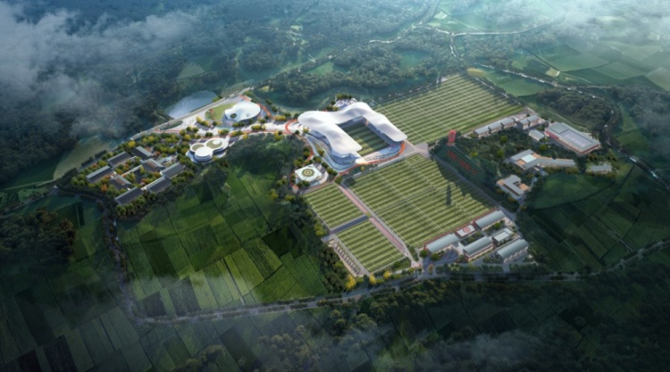 成都蓉城新训练基地明年竣工，一期项目包括8个足球场