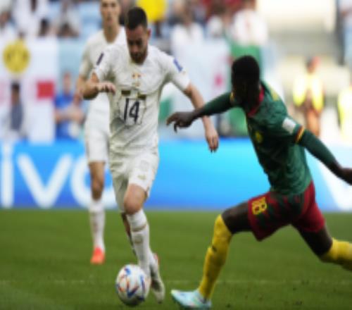 世界杯半场战报：喀麦隆1-2塞尔维亚 喀麦隆先拔头筹米林科维奇反超比分