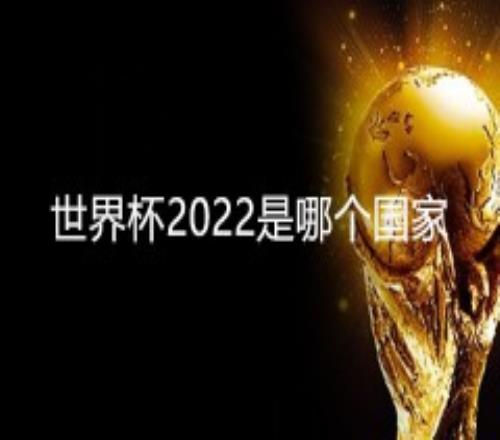 世界杯2022是哪个国家