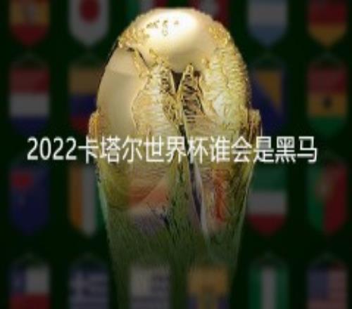 2022卡塔尔世界杯谁会是黑马