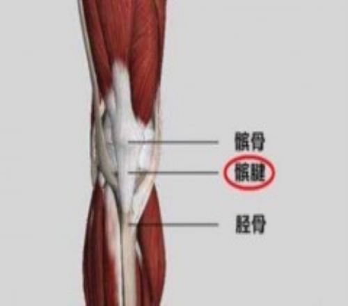 阿扎尔左膝出现髌腱炎