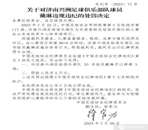 戴琳辱骂裁判被停赛5场