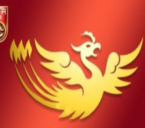女足国家张琳艳或留洋西甲