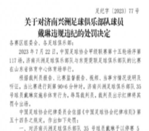 戴琳辱骂裁判被停赛5场罚款5万 戴琳骂裁判事件结果来了